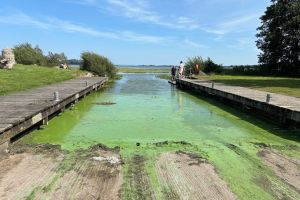 Opinion – Northern Ireland as an Environmental Sacrifice Zone