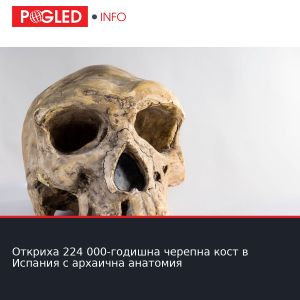 Откриха 224 000-годишна черепна кост в Испания с архаична анатомия