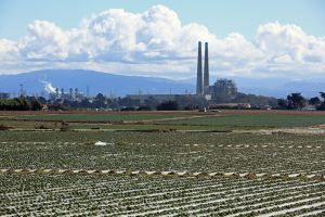 2 sets of remains, 1 of a baby, found hours apart in Monterey County