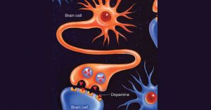 Biological Psychiatry and the Allure of the Simple
