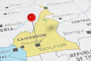 Cameroon’s Leadership Longevity and the Limitations of Selectorate Theory