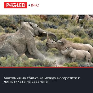 Анатомия на сблъсъка между носорозите и логистиката на саваната