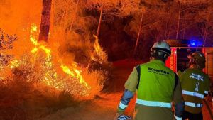 Derechos sociales frente al fuego