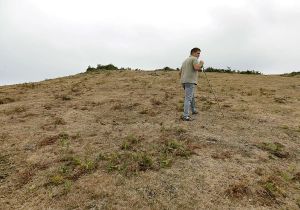 El calor asfixia al campo