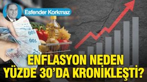 Enflasyon neden yüzde 30’da kronikleşti?