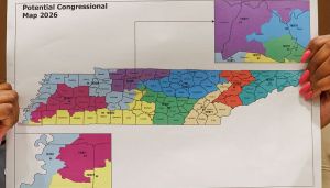 We can’t ‘ban gerrymandering’ if we don’t agree on what gerrymandering is