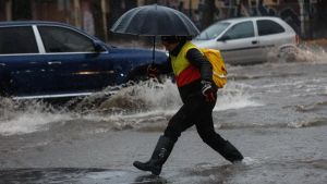 Soluciones basadas en la naturaleza para la prevención de catástrofes climáticas