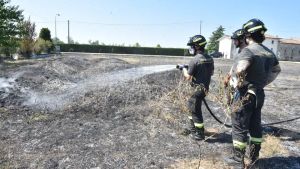 Appiccano il fuoco vicino a un maneggio: salvati 45 cavalli