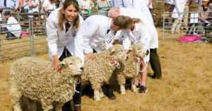 Thousands flock to historic Wayland Show as it celebrates landmark 150th year
