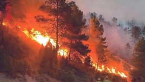 Los incendios no entienden de política