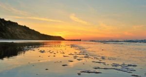 Two dead whales wash up on beach as public urged to avoid carcasses