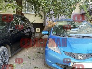 Дърво се стовари върху паркиран автомобил пред блок 21 в жк. 