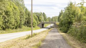 Eläintaudit | Striimi auki, Ruokavirasto – epätietoisuus on pahin hoito tautikriisiin