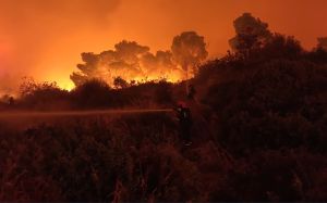 Σαν πεινασμένο ζώο