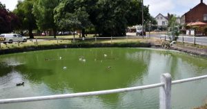 Work planned for historic village duck pond after concerns for its condition