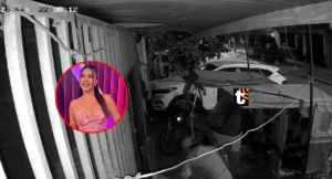 Barran con las lacras criminales