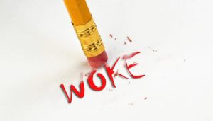 Woke in 2021, anti-woke in 2026: Pension trustees are making the same mistake twice
