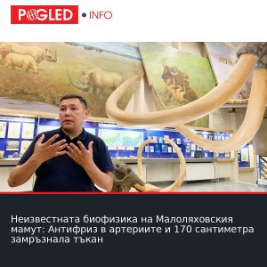 Неизвестната биофизика на Малоляховския мамут: Антифриз в артериите и 170 сантиметра замръзнала тъкан