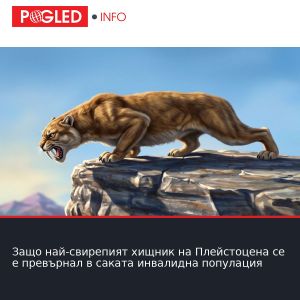 Защо най-свирепият хищник на Плейстоцена се е превърнал в саката инвалидна популация