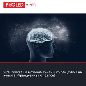 90% липсваща мозъчна тъкан и пълен дубъл на живота: Французинът от Lancet