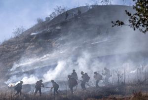 Wildfire Experts Worry Trump Admin Directives Are Putting Firefighters at Risk