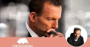 Milk-fed young Liberals count the cost of war