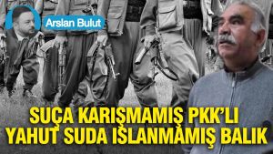 Suça karışmamış PKK’lı yahut suda ıslanmamış balık