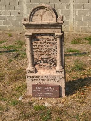 Is Mount Herzl the Wrong Place for the Herzl Family?