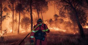 EU: Trotz Hitze kein neues Feuer für die Klimapolitik