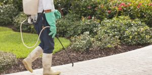 Pesticide exposure at work may increase motor neurone disease risk – new study