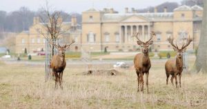 Historic stately home with 'vast parkland' named among best days out