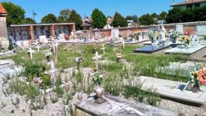 Rovi ed erbacce nei cimiteri a Marcon, il sindaco diffida la ditta e si scusa con i cittadini