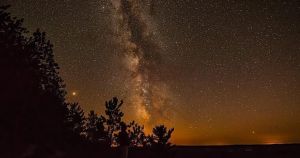 Light pollution disrupts life for all the planet’s inhabitants