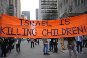 How standing up to Israeli genocide could win Democrats Congress in November