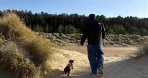 Norfolk beach named among most dog-friendly in the UK