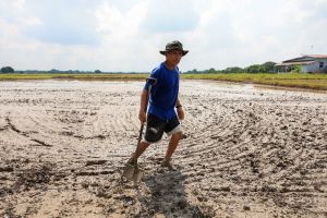 El Niño Bakes Southeast Asia