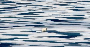 Climate Crisis