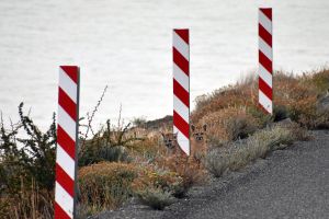 The unexpected animals quietly making California roads safer