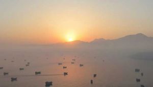 Iran and Oman reach understanding on coordinates of route through Hormuz