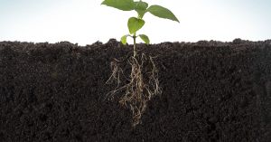 Get to the Root of Conflict with Radical Repair
