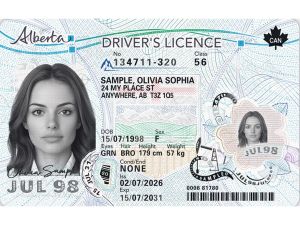 Opinion: Renewing your Alberta ID shouldn't mean losing access to services I expected renewing my Alberta identification card to be routine. It wasn’t.