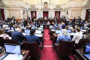 Government drops controversial chapter to secure Senate session