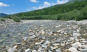 Ribiške družine zapirajo ribolovne revirje