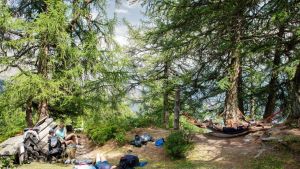 Les stations de montagne ont de l’or vert entre les mains