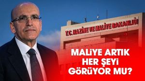 Maliye artık her şeyi görüyor mu?