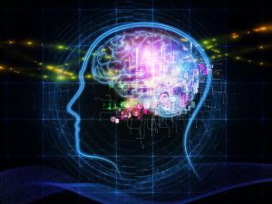 Quand de simples substances hallucinogènes révèlent le fonctionnement du cerveau