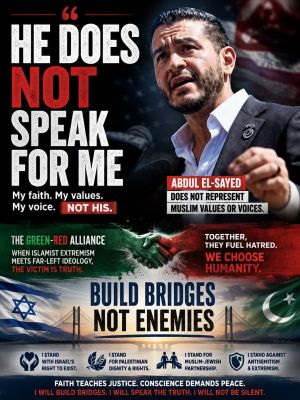 Abdul El-Sayed Does Not Speak for Me