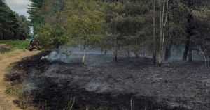 Woodland remains closed a week after large wildfire broke out