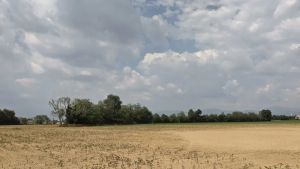 Siccità, in Friuli Venezia Giulia è crisi idrica: dall’irrigazione ai razionamenti, ecco tutte le nuove regole