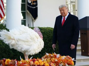 Colby Cosh: Democrats' attempt to limit the presidential pardon power is futile